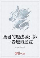 圣诞的魔法城：第一卷魔境迷踪