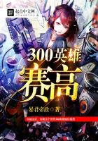 300英雄赛高