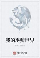 我的巫师世界