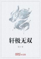 轩极无双