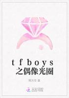 tfboys之偶像光圈