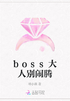 boss大人别闹腾