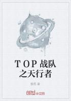 TOP战队之天行者