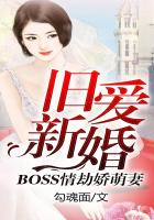 旧爱新婚：Boss情劫娇萌妻