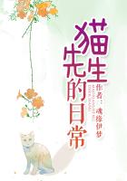 猫先生的日常