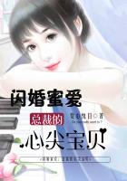 闪婚蜜爱：总裁的心尖宝贝