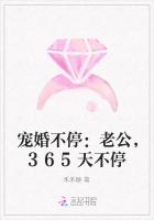 宠婚不停：老公，365天不停