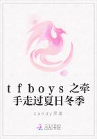 tfboys之牵手走过夏日冬季