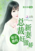 钻石婚约：总裁新妻好傲娇