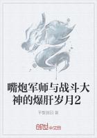 嘴炮军师与战斗大神的爆肝岁月2