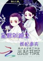 圣君别跑之妖妃追夫