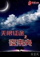 无限征途之夜未央