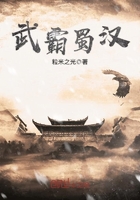 武霸蜀汉