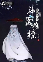 神医难撩，神秘公子，求放手