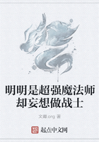 明明是超强魔法师却妄想做战士