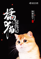 橘猫复仇记