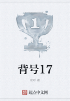 背号17