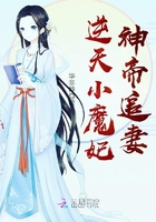 逆天小魔妃，神帝追妻