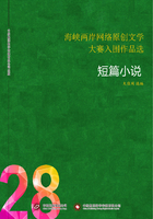 海峡两岸网络原创文学大赛入围作品选（28）短篇小说