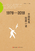 1978-2018中国优秀短篇小说（改革开放40年系列）