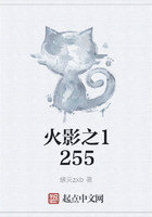 火影之1255