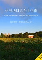 小农场日进斗金指南