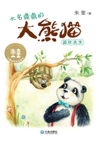 大童话家朱奎童话·大名鼎鼎的大熊猫温任先生