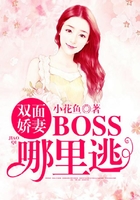 双面娇妻：BOSS哪里逃