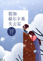 假如赫尔辛基失去雪