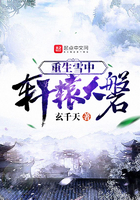 重生雪中轩辕大磐