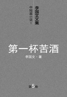 李国文文集中短篇小说（1）：第一杯苦酒（第5卷）