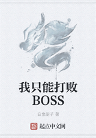 我只能打败BOSS