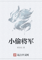 小偷将军