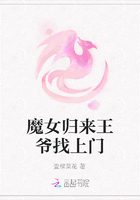 魔女归来王爷找上门