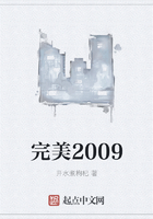 完美2009