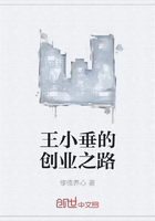 王小垂的创业之路