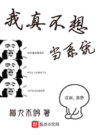 我真不想当系统