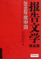 2010年度中国报告文学精品集