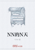 NN的N天