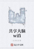 共享大脑wifi