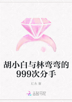 胡小白与林弯弯的999次分手