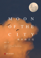 城市的月亮