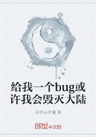 给我一个bug或许我会毁灭大陆