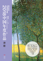 2018中国年度作品·诗歌