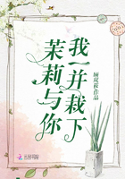 茉莉与你我一并栽下