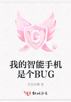 我的智能手机是个BUG