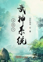 无敌大武神系统