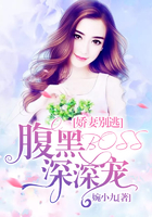 娇妻别逃：腹黑BOSS深深宠