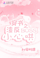 穿书之渣反Boss小心哄