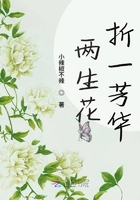 两生花折一芳华